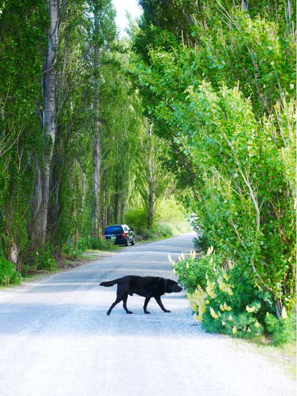 retreat 301