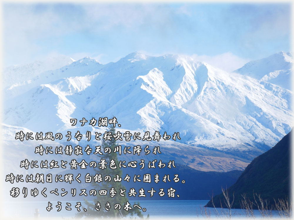 slide8